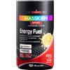 Marco Viti Massigen Energy Fuel Ciclodestrine Cluster Dextrin 450 gr