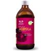 SALUGEA (RELOAD Srl) Salugea Succo Acerola Bio 500ml