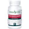 ERBA VITA FUCUS 60 CAPSULE 500 MG
