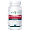 ERBA VITA GROUP SpA FUCUS 60 Cps 500mg EBV