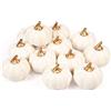 Whaline Zucche artificiali vintage bianche raccolte realistiche zucca finta schiuma zucca per autunno autunno Halloween casa Ringraziamento festa casa cucina matrimonio decorazione, 12 pezzi