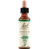 SCHWABE PHARMA ITALIA Srl BACH 4 CENTAURY 20ml