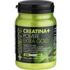 Watt CREATINA+ POLVERE EXTRAGOLD 350 G