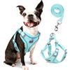 rennaio Pettorina per Cani No Pull, Pettorina per Cuccioli Regolabile con 2 Clip per Guinzaglio, Riflettente Set Imbracatura e Guinzaglio per Cani di Piccola e Media Taglia (Ciano, M)