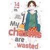 Edizioni BD My charms are wasted (Vol. 14)
