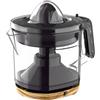 BERGNER - Filtro 1,0 l, 40 W, carbone di legno BG
