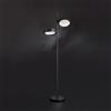 Oluce Berlin lampada da terra, LED, L0323 NE, Berlin [Lampade per Interni > Lampade da Terra]