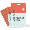 SKIN CHOICE Microdart Patch Brufoli con Niacinamide, Acido Ialuronico per Macchie Scure - Breakout Pimple Patch Classic Fade - Idrocolloidali Cerotti Brufoli, Vegano, Non Testato Sugli Animali, 8pcs