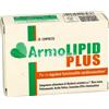 ARMOLIPID PLUS 30CPR