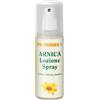 DR THEISS THEISS ARNICA SPRAY 100ML