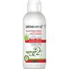ALOEVERA2 SUCCO P ALOE+ANTIOSS