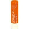 MARCO VITI STICK LABBRA NUTRIENTE CALEND