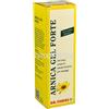 DR THEISS THEISS ARNICA GEL FORTE 100ML