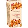 L'ERBOLARIO FRANGIPANI FRAGR LEGNI PROF