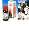 SPECCHIASOL BIANCOSPINO 10 50ML TM