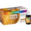 MASSIGEN PAPPA REALE 10FL 25ML