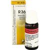 DR.RECKEWEG RECKEWEG R36 GOCCE 22ML