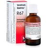 DR.RECKEWEG RECKEWEG R67 GOCCE 22ML