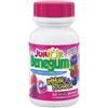 PERFETTI VAN MELLE ITALIA SRL Benegum J Immuno + Ricarica Frutti Rossi 156 G