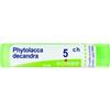 BOIRON Srl Phytolacca de boi*5ch 80gr - BOIRON - 045879044