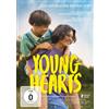 Salzgeber Young Hearts