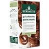 Herbatint Gel Colorante Permanente per Capelli 7R Biondo Ramato - 170 ml | Senza Ammoniaca, 100% Copertura Capelli Bianchi | per Pelli Sensibili, con 8 Estratti Naturali Bio