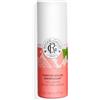 Roger & Gallet FIGUIER - Fragranza solida benefica, 5 g
