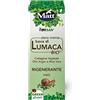 Matt, Siero Crema Viso Bava di Lumaca BIO, con Aloe Vera, Collagene vegetale, Acido Ialuronico, Olio di Argan, Olio Jojoba ed Antiossidanti di Origine Naturale, Azione Rigenerante e Antiage, 30ml