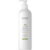 LABORATORIOS BABE Laboratorios Babé - Stop AKN Detergente Viso Purificante 400 ml | Trattamento per Acne, Pelle Grassa e Seboregolazione |Microbiome Care | Pulizia profonda e opacizzante per uso quotidiano