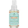 Nature Spell Olio Nutriente per Capelli Secchi e Danneggiati, Texture Leggera Anti Crespo, con Acido Ialuronico e Vitamina B5, Aiuta a Stimolare la Crescita dei Capelli, Vegano, 100 ml