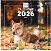 Finocam - Calendario da parete 2026 30x30 Layout mensile Gennaio - Dicembre 2026 + Sett. - Dic. 2025 (4 mesi) ridotto | Calendario 2026 | Immagini Dogs - Internazionale