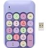 Estink Tastierino Numerico Wireless da 2,4 GHz, Mini Tastierino Numerico a 18 Tasti, Tastiera a Colori Vintage e Copritasti Rotondi, con Ricevitore USB per PC, Desktop e Laptop (Tema Viola)