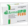MYLAN ITALIA Srl ROTTAPHARM Armolipid Plus 60 Compresse