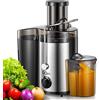 QCen Spremiagrumi, centrifuga con vano di riempimento da 3 pollici, facile da pulire, in acciaio inox, senza BPA, ideale per frutta e verdura (Argento, 500W)