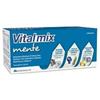 Fruvis Vitalmix Mente 12 Flaconcini