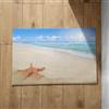 CEVAN Tappeto Zerbino per Interno Tappeto Antiscivolo Grande Conchiglie da Spiaggia Zerbino Anime Tappeto Bagno Antiscivolo 50x80cm
