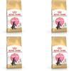 Royal Canin Maine Coon Kitten | Confezione da 4 | 4 x 400 g | Cibo secco per gatti | Specifico per cuccioli di gatto Maine Coon | Per favorire la digestione e il sistema immunitario