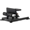 Diamond Sissy squat Diamond Professional Serie 750