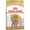Royal Canin Poodle 1,5Kg Crocchette Cani Adulti