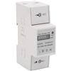 Walfront Energy Meter (20 (80) A) 220V Contatore Energia Elettrica KWh Meter 2 Fili 2P su Guida DIN