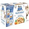 BRIT Care Cat Flavour Box in Jelly 12x85g gusti misti in gelatina