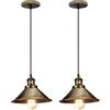 iDEGU 2 Pezzi Lampade a Sospensione Industriale Design Edison Lampada da Soffitto E27 Lampadario a Sospensione Retro in Metallo per Sala da Pranzo Cucina Soggiorno, Ø 22 cm (2x Bronzo)