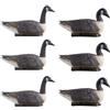 VEVOR Esche per Caccia Realistiche Oche del Canada Artificiali 6 pezzi Caccia agli Uccelli Acquatici all'Aperto, Oca Galleggiante in Plastica con Finitura Verniciata Decorazione Laghetti, Giardini
