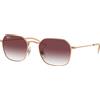 Ray-Ban Occhiali da Sole Ray-Ban Junior RJ9594S 291/8H