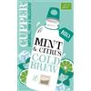 CUPPER Infuso a Freddo con Menta e Limone, Tisana Fredda a Casa o On the Go, Senza Zuccheri Aggiunti, 100% Ingredienti Naturali, Gusto Rinfrescante, Confezione da 10 Bustine