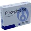 Biogroup Psicophyt Remedy 5b 4 Tubi 1,2 G