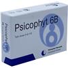 Biogroup Psicophyt Remedy 6b 4 Tubi 1,2 G