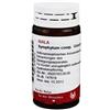 Wala Symphytum Compositum Globuli 20 G