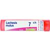 Boiron Lachesis Mutus 7 Ch Granuli