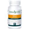 Erba Vita Mirtillo 100 Perle